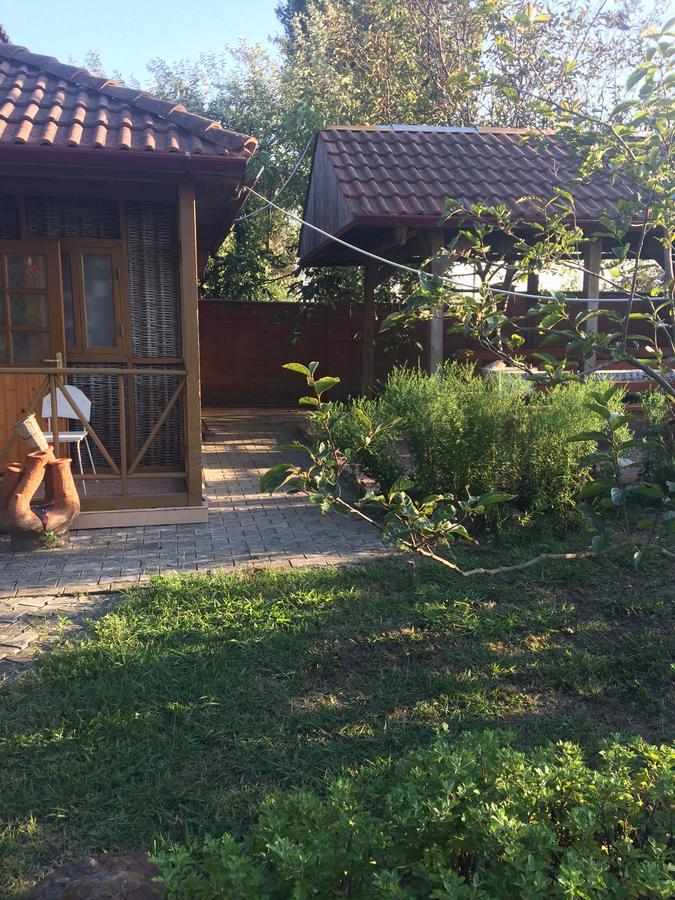 ホテルГостевой Дом "Сария" #N/A エクステリア 写真